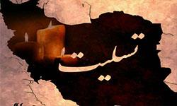 پیام تسلیت رئیس سازمان نظام مهندسی در پی حادثه زلزله استان کرمانشاه پیام تسلیت رئیس سازمان نظام مهندسی در پی حادثه زلزله استان کرمانشاه