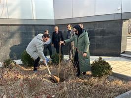 غرس چندین اصله نهال در روز درختکاری